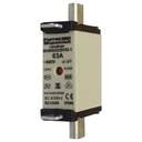 [EPR0079] FUSIBLE NH000 100A GG 500V