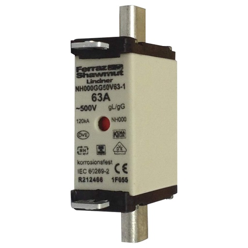 [EPR0307] FUSIBLE NH000 40A GG 500V